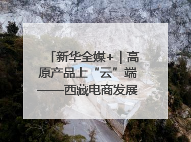 新华全媒+｜高原产品上“云”端——西藏电商发展一线观察