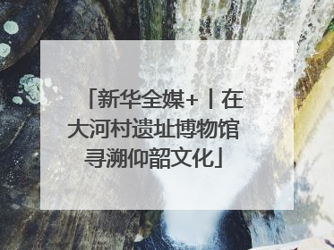 新华全媒+丨在大河村遗址博物馆寻溯仰韶文化