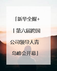 新华全媒+丨第六届跨国公司领导人青岛峰会开幕