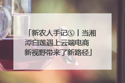 新农人手记⑤丨当湘潭白莲遇上云端电商 新视野带来了新路径