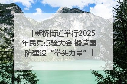 新桥街道举行2025年民兵点验大会 锻造国防建设“拳头力量”