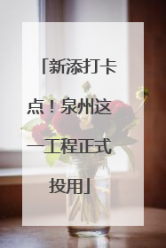 新添打卡点！泉州这一工程正式投用