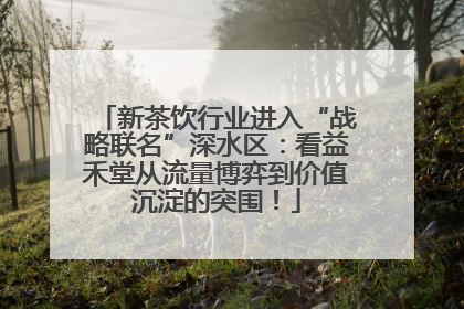 新茶饮行业进入“战略联名”深水区：看益禾堂从流量博弈到价值沉淀的突围！