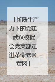 新质生产力下的党建 武汉校促会党支部走进革命老区黄冈