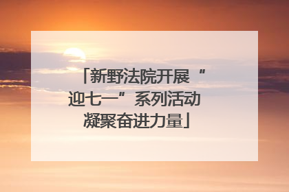 新野法院开展“迎七一”系列活动 凝聚奋进力量