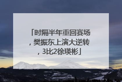 时隔半年重回赛场，樊振东上演大逆转，3比2徐瑛彬