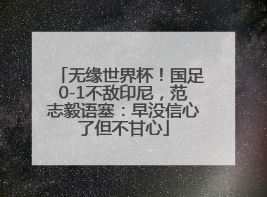 无缘世界杯！国足0-1不敌印尼，范志毅语塞：早没信心了但不甘心