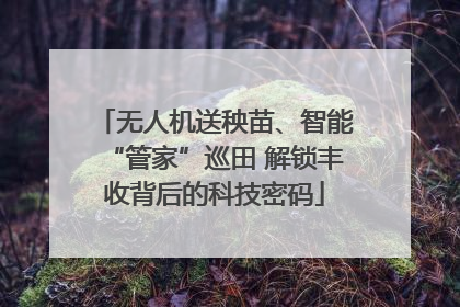 无人机送秧苗、智能“管家”巡田 解锁丰收背后的科技密码