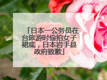 日本一公务员在台旅游时偷拍女子裙底，日本岩手县政府致歉