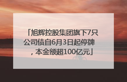 旭辉控股集团旗下7只公司债自6月3日起停牌，本金额超100亿元