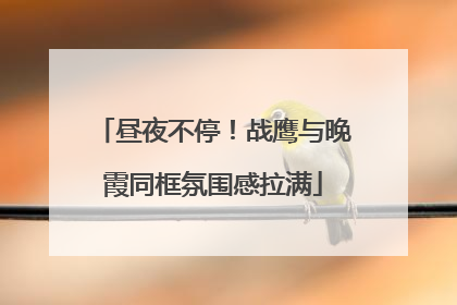 昼夜不停！战鹰与晚霞同框氛围感拉满