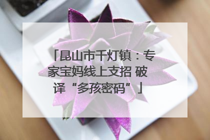 昆山市千灯镇：专家宝妈线上支招 破译“多孩密码”