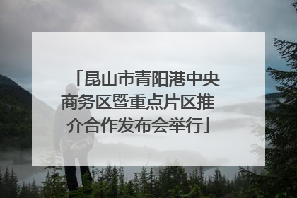 昆山市青阳港中央商务区暨重点片区推介合作发布会举行