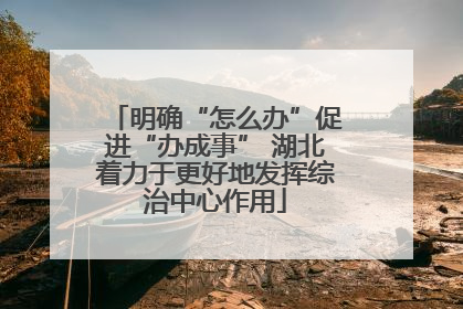 明确“怎么办”促进“办成事” 湖北着力于更好地发挥综治中心作用