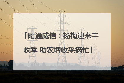 昭通威信：杨梅迎来丰收季 助农增收采摘忙