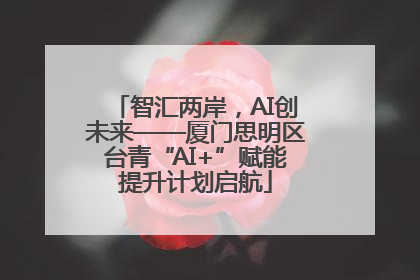 智汇两岸，AI创未来——厦门思明区台青“AI+”赋能提升计划启航