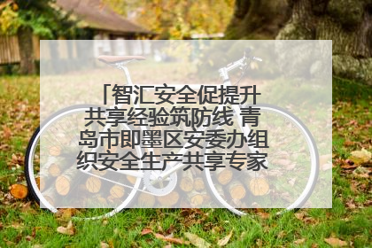 智汇安全促提升 共享经验筑防线 青岛市即墨区安委办组织安全生产共享专家现场观摩学习活动