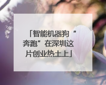 智能机器狗“奔跑”在深圳这片创业热土上