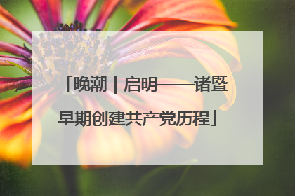 晚潮｜启明——诸暨早期创建共产党历程