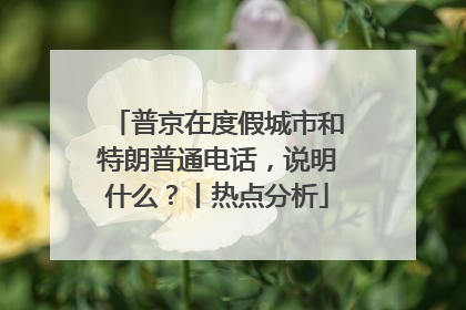 普京在度假城市和特朗普通电话，说明什么？丨热点分析