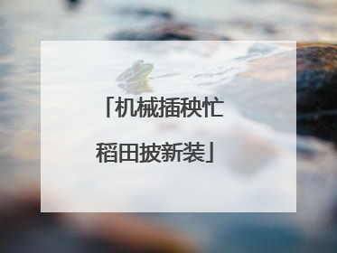 机械插秧忙 稻田披新装