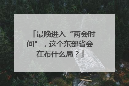 最晚进入“两会时间”，这个东部省会在布什么局？