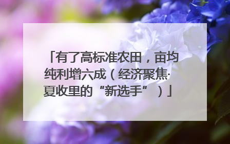 有了高标准农田，亩均纯利增六成（经济聚焦·夏收里的“新选手”）