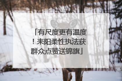 有尺度更有温度！耒阳柔性执法获群众点赞送锦旗