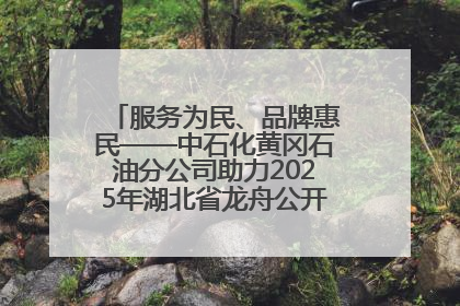 服务为民、品牌惠民——中石化黄冈石油分公司助力2025年湖北省龙舟公开赛（黄冈站）