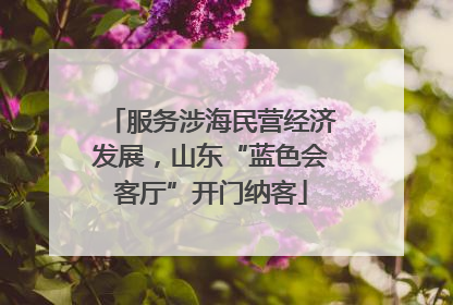 服务涉海民营经济发展，山东“蓝色会客厅”开门纳客