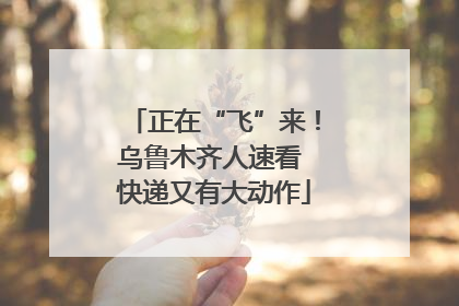 正在“飞”来！乌鲁木齐人速看 快递又有大动作