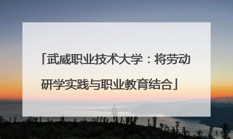 武威职业技术大学：将劳动研学实践与职业教育结合