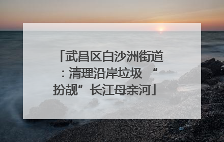 武昌区白沙洲街道：清理沿岸垃圾 “扮靓”长江母亲河