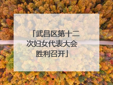 武昌区第十二次妇女代表大会胜利召开