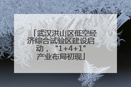 武汉洪山区低空经济综合试验区建设启动，“1+4+1”产业布局初现