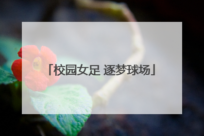 校园女足 逐梦球场