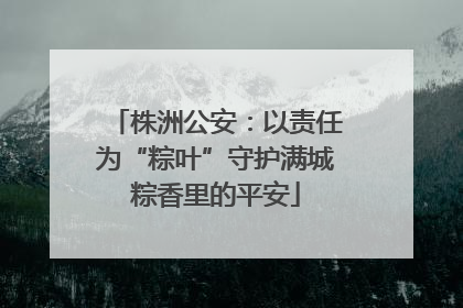 株洲公安：以责任为“粽叶”守护满城粽香里的平安