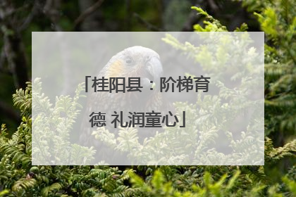 桂阳县：阶梯育德 礼润童心