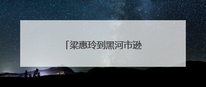 梁惠玲到黑河市逊克县和孙吴县调研