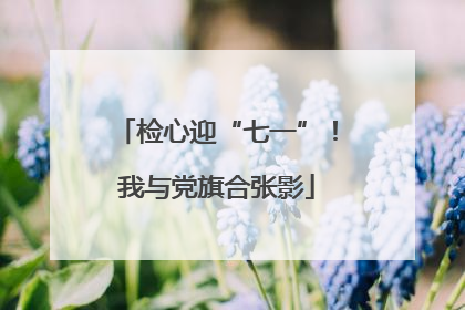 检心迎“七一”！我与党旗合张影