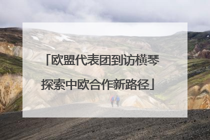 欧盟代表团到访横琴 探索中欧合作新路径