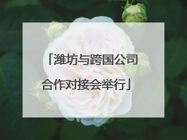 潍坊与跨国公司合作对接会举行