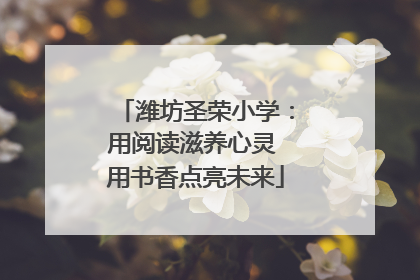 潍坊圣荣小学：用阅读滋养心灵 用书香点亮未来