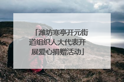 潍坊寒亭开元街道组织人大代表开展爱心捐赠活动