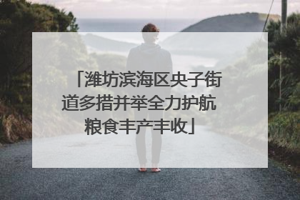 潍坊滨海区央子街道多措并举全力护航粮食丰产丰收
