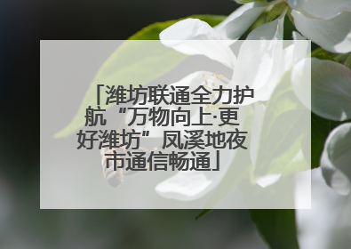 潍坊联通全力护航“万物向上·更好潍坊”凤溪地夜市通信畅通