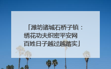 潍坊诸城石桥子镇：绣花功夫织密平安网 百姓日子越过越踏实