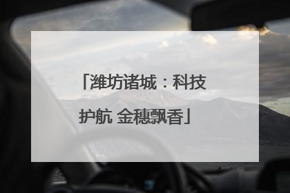 潍坊诸城：科技护航 金穗飘香