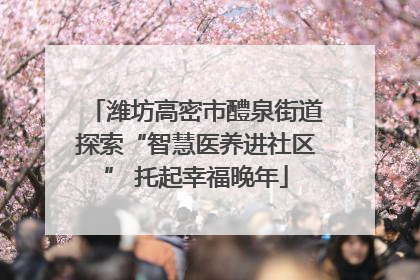 潍坊高密市醴泉街道探索“智慧医养进社区” 托起幸福晚年