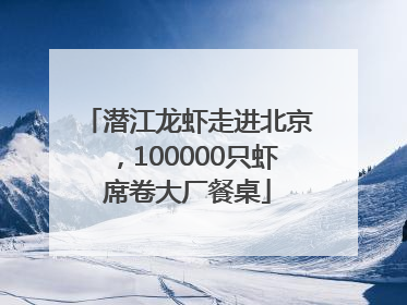 潜江龙虾走进北京，100000只虾席卷大厂餐桌